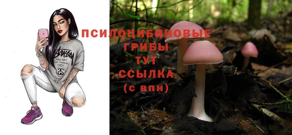 ПСИЛОЦИБИНОВЫЕ ГРИБЫ Алексеевка