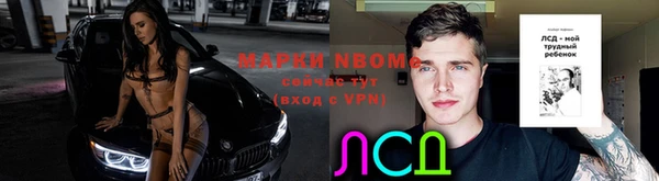 ПСИЛОЦИБИНОВЫЕ ГРИБЫ Алексеевка