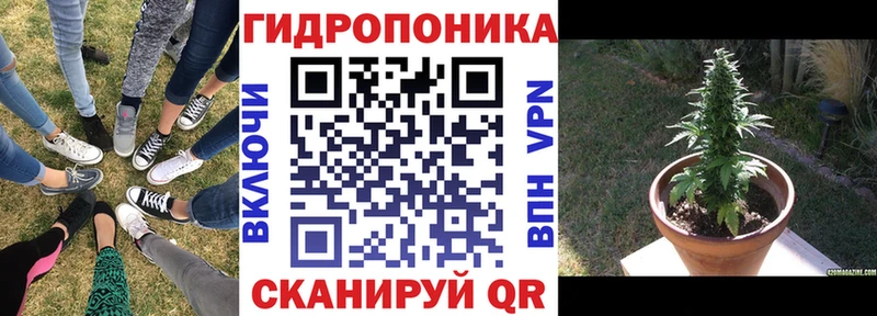 Каннабис сатива Кольчугино